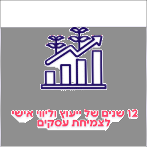 12 שנים של ייעוץ לויווי אישי לצמיחת עסקים